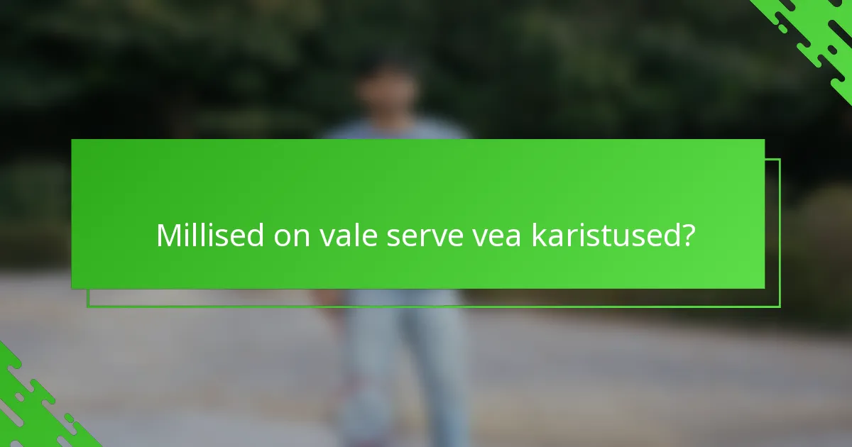 Millised on vale serve vea karistused?